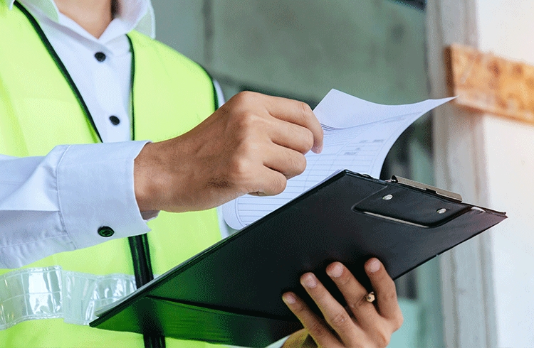 Inspección de Verificación de la Formulación