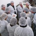 Inspección de Capacidad Real de Planta